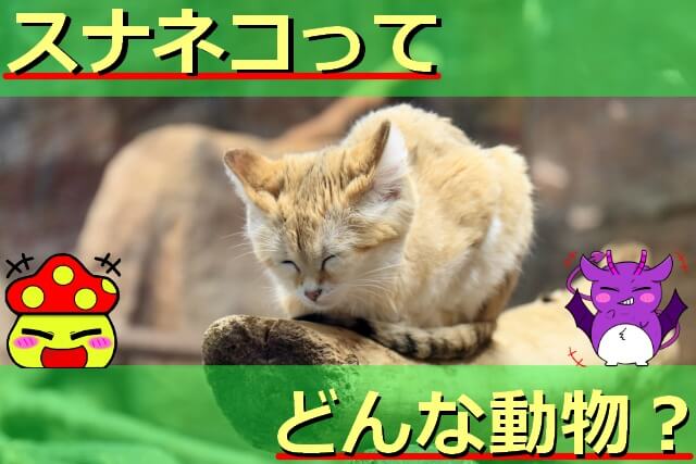 Thumbnail of post image 004